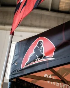 Gazebo Kongline: Le Caratteristiche Del Gazebo Più Resistente e Durevole